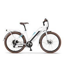 2019 New Product 48V 350W Adult Electric Bicycle MID Motor